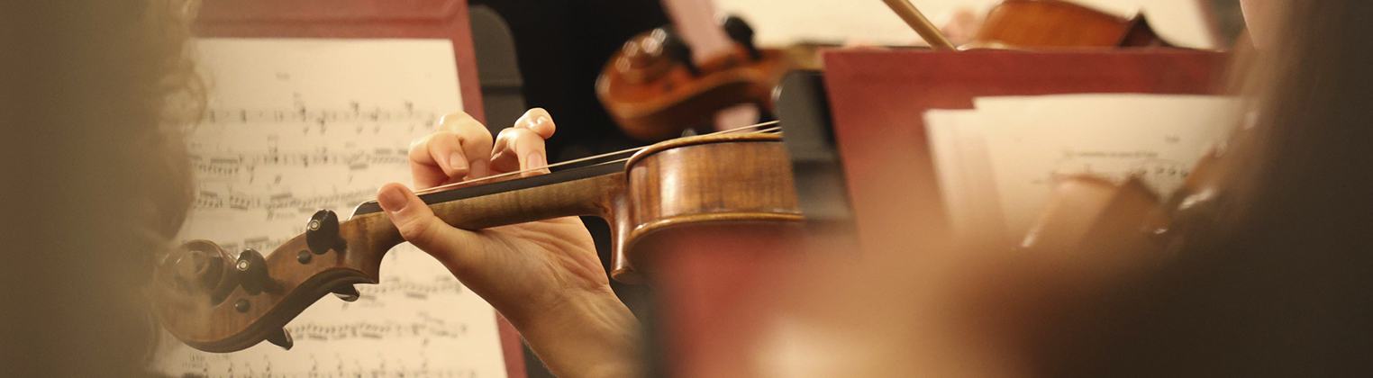 Violin